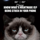 Illustration for article titled The Grumpy Cat Weather App Wont Sugar Coat Things For You